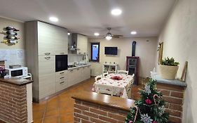 Aleks Friendly House